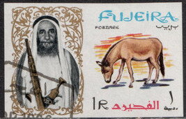 Onager (Equus hemionus onager)
