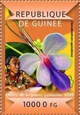 Stamp, Orchids, Guinea,  , Flowers, Orchids, Plants (Flora)