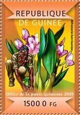 Stamp, Orchids, Guinea,  , Flowers, Orchids, Plants (Flora)