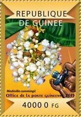 Stamp, Orchids, Guinea,  , Flowers, Orchids, Plants (Flora)