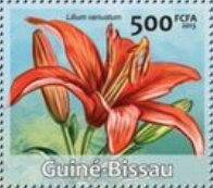 Stamp, Flowers, Guinea-Bissau,  , Flowers, Lilies (Flower), Plants (Flora)