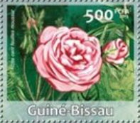Stamp, Flowers, Guinea-Bissau,  , Flowers, Plants (Flora)