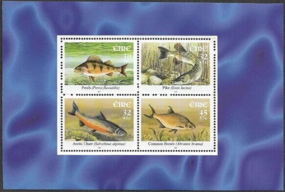 Booklet pane