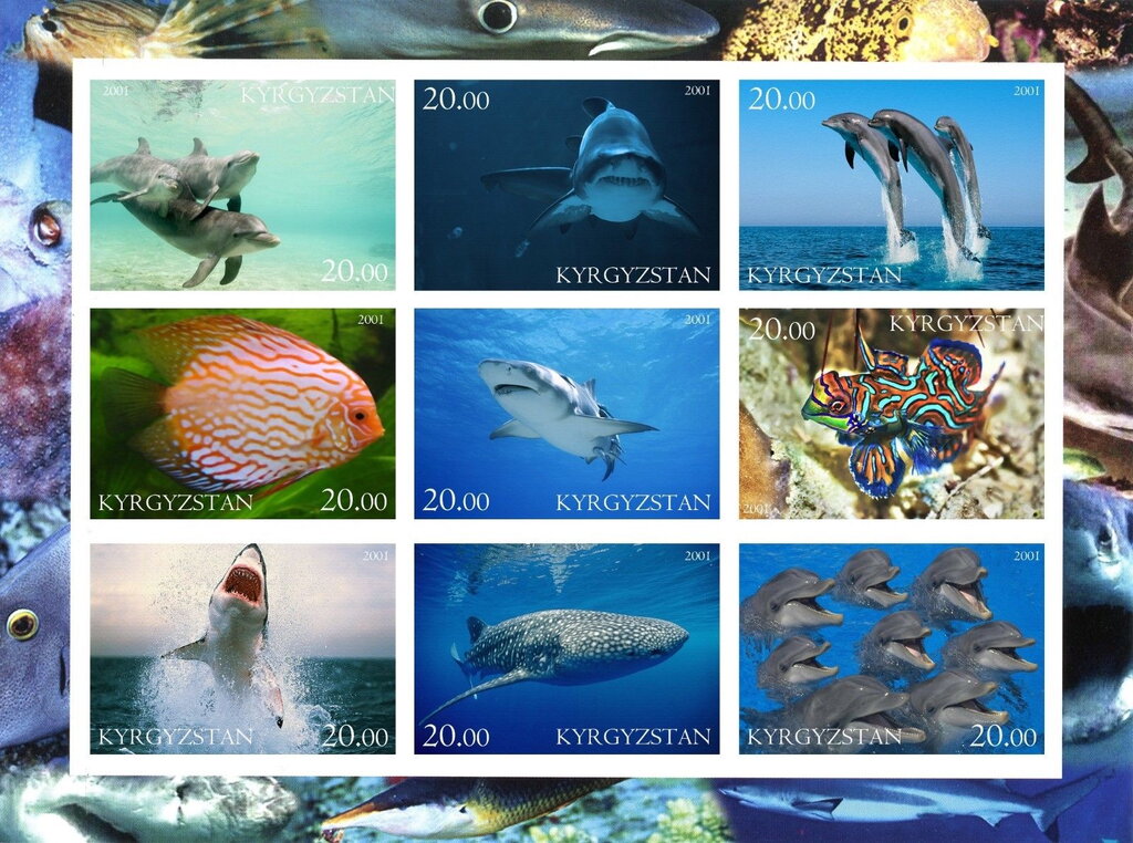 Marine Life