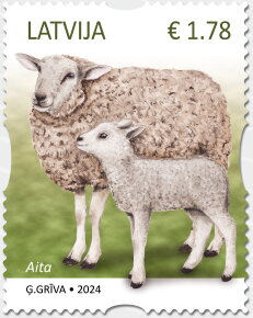 Sheep