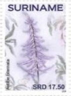 Stamp, Flowers, Suriname,  , Flowers
