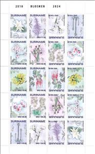 Full Pane, Flowers, Suriname,  , Flowers