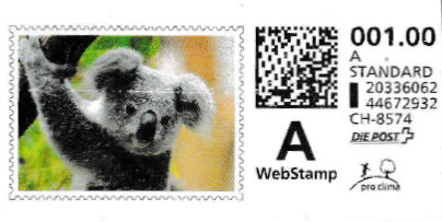 Koala