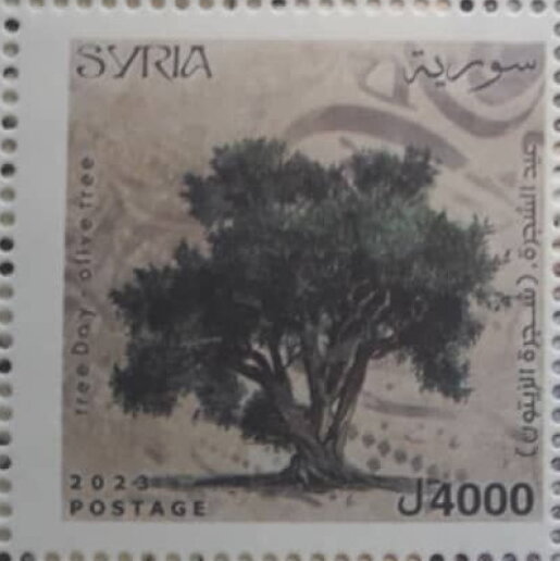 Day of the Olive Tree