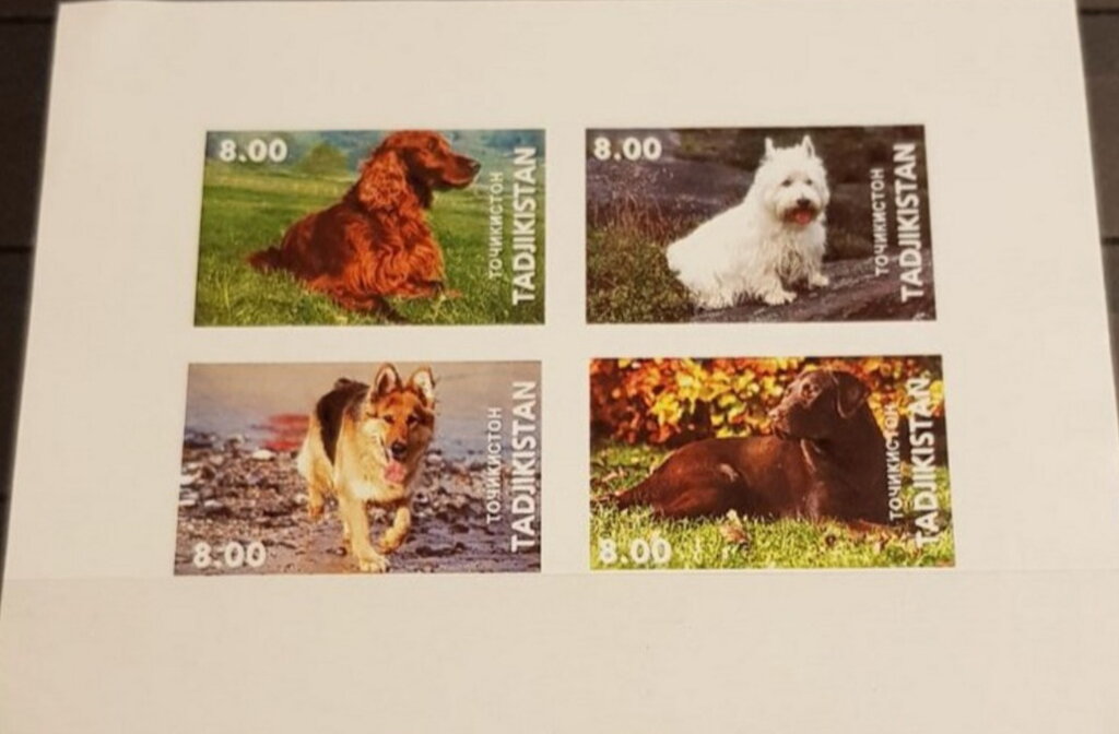 Dogs