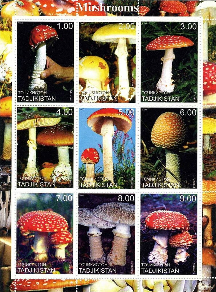 Mushrooms