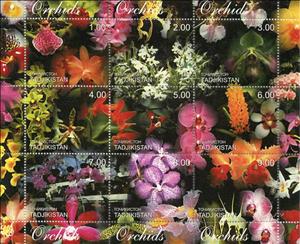 Mini Sheet, Orchids, Tajikistan,  , Flowers, Orchids