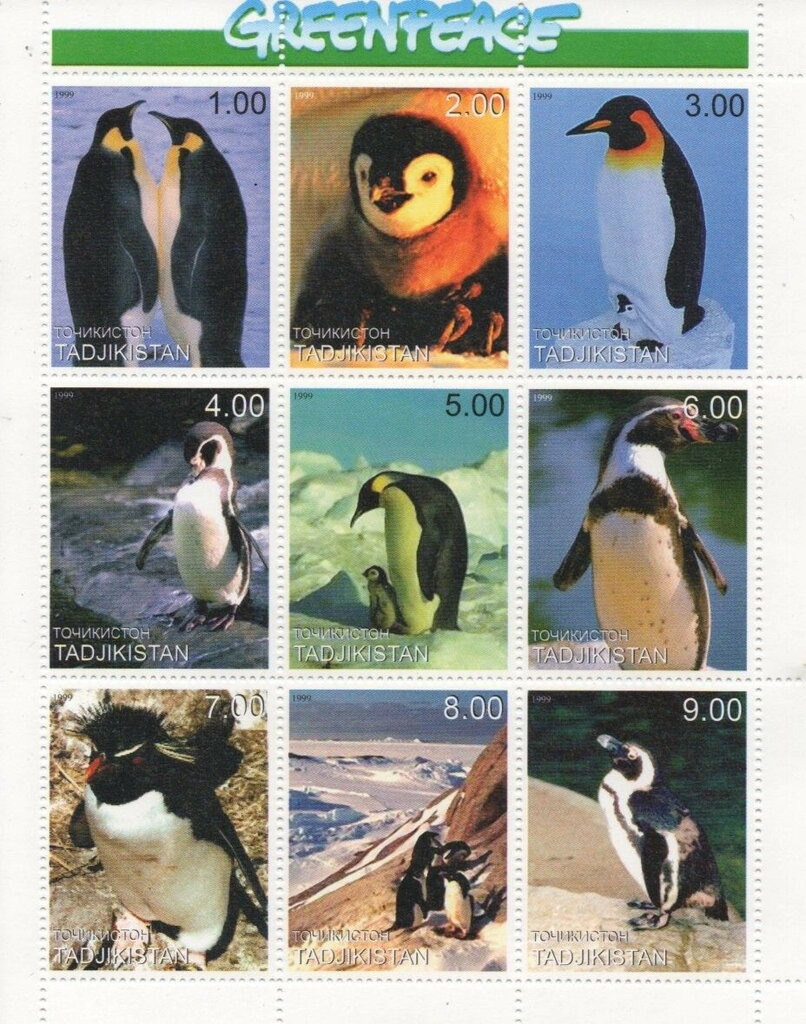 Penguins Greenpeace
