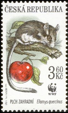 Stamp, Garden Dormouse (Eliomys quercinus), Czech Republic,  , Mammals, WWF, Animals (Fauna)