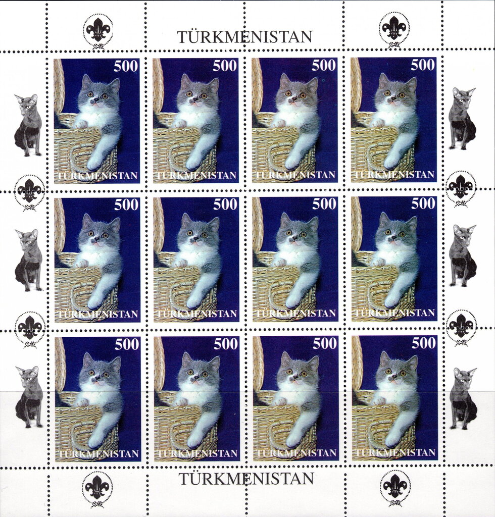 Cats