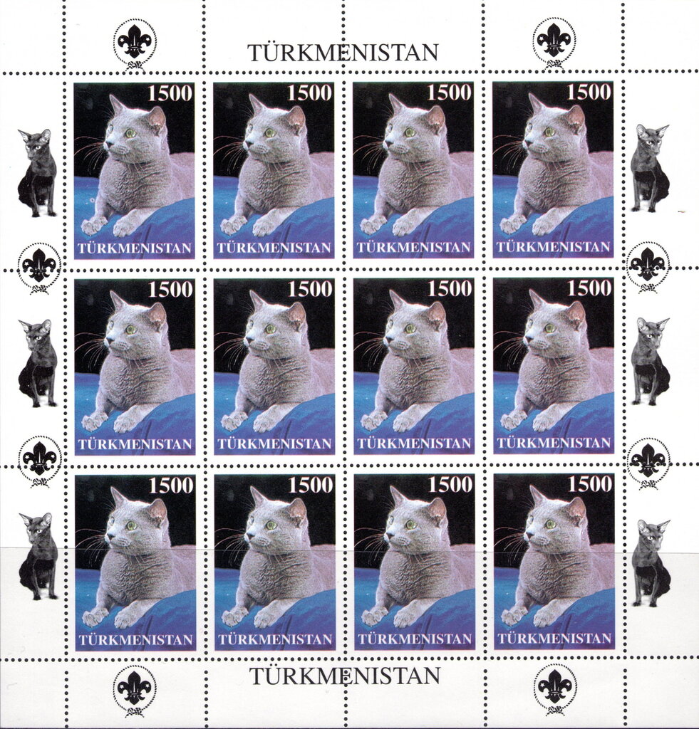 Cats