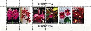 Mini Sheet, Orchids, Turkmenistan,  , Flowers, Orchids, Plants (Flora)