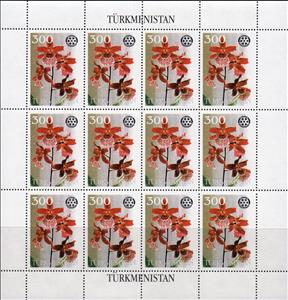 Full Pane, Orchids with Rotary International Logo, Turkmenistan,  , Flowers, Orchids, Plants (Flora), Rotary
