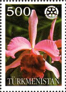 Stamp, Orchids with Rotary International Logo, Turkmenistan,  , Flowers, Orchids, Plants (Flora), Rotary
