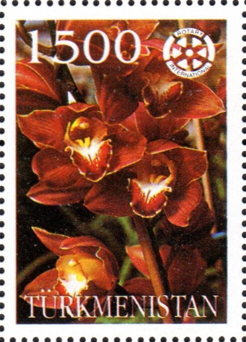 Orchids with Rotary International Logo