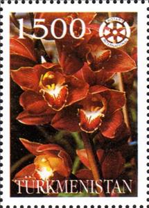 Stamp, Orchids with Rotary International Logo, Turkmenistan,  , Flowers, Orchids, Plants (Flora), Rotary