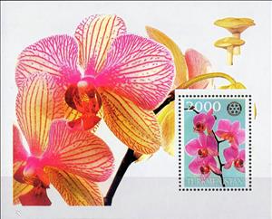 Souvenir Sheet, Orchids with Rotary International Logo, Turkmenistan,  , Flowers, Orchids, Plants (Flora), Rotary