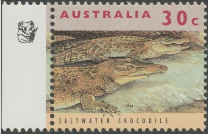 Saltwater Crocodile - 1st Reprint 1 Koala
