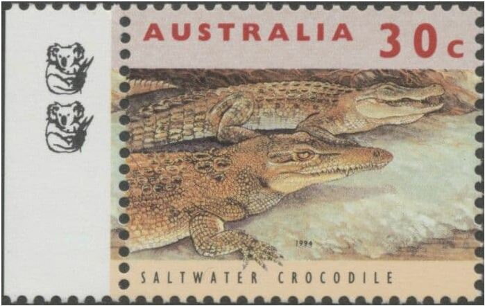 Saltwater Crocodile - 2nd Reprint 2 Koala