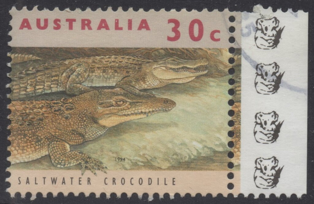 Saltwater Crocodile - 4th Reprint 4 Koala