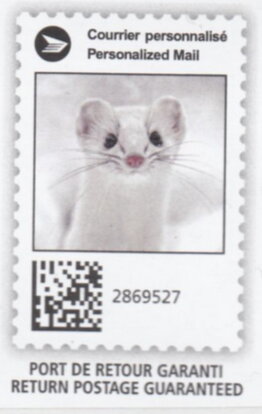 Stamp, Ermine (Mustela erminea), Canada,  , Animals (Fauna)