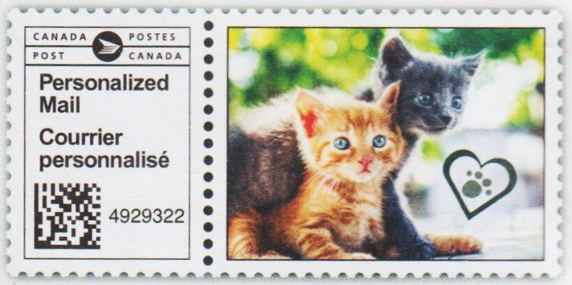 Kittens