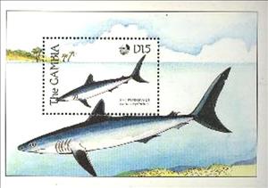 Souvenir Sheet, Shortfin Mako Shark (Isurus oxyrinchus), Gambia,  , Fishes