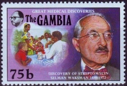 Selman Waksman