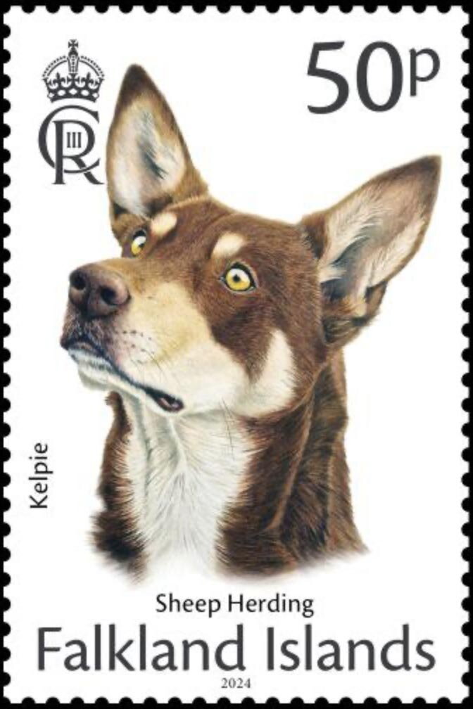 Kelpie