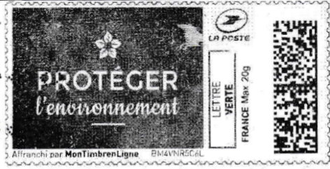 Protect the Environment. Proteger l'Environnement in black