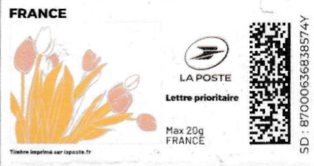 Spring. Pink Tulips. Redesign. with logo. colour variant