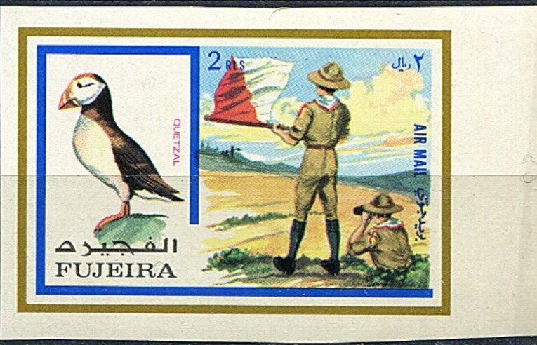 Atlantic Puffin (Fratercula arctica), Boy Scouts Signaling