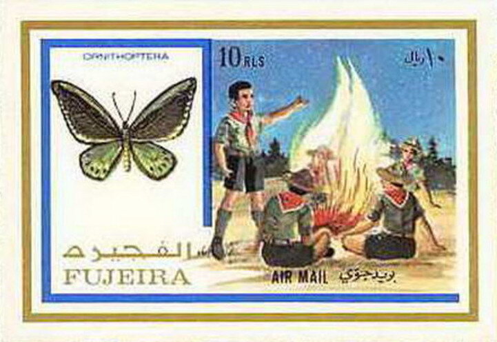 Birdwing Butterfly (Ornithoptera) and Boy Scouts at Campfire