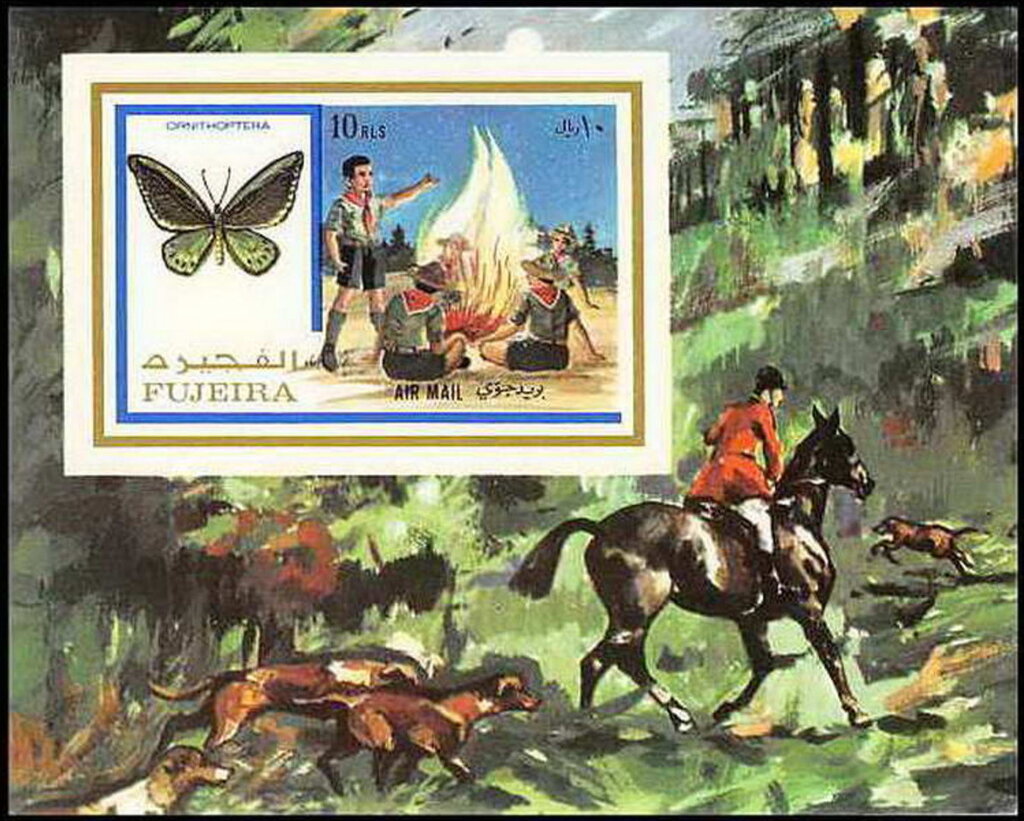 Birdwing Butterfly (Ornithoptera), Scouts at the Campfire