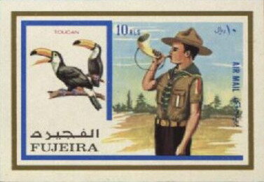 Common Toucan (Ramphastos toco) and Boy Scout Bugling