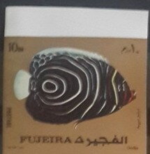 Stamp, Emperor Angelfish (Pomacanthus imperator) - Juvenile, Fujairah (Fujeira),  , Animals (Fauna), Fishes
