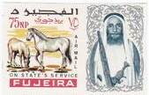 Horse (Equus ferus caballus)
