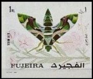 Stamp, Moth, Fujairah (Fujeira),  , Animals (Fauna), Butterflies and Moths, Insects