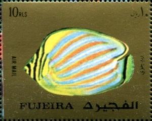 Stamp, Ornate Butterflyfish (Chaetodon ornatus), Fujairah (Fujeira),  