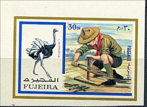 Stamp, Ostrich (Struthio camelus) and Boy Scout, Fujairah (Fujeira),  , Animals (Fauna), Birds, Ostriches, Scouting
