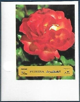 Red Rose