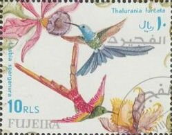 Stamp, Sappho Hummingbird, Fork Thalurania, Fujairah (Fujeira),  