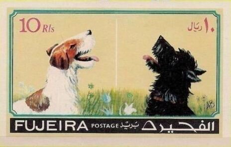 Two Dogs