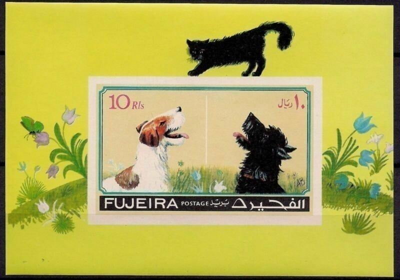 Two Dogs and a Cat