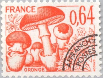 Mushrooms - Oronge (Amanita caesarea)